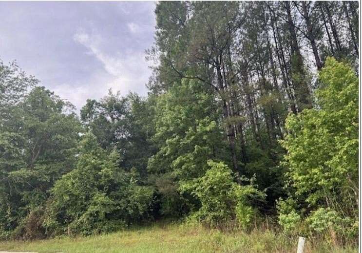 Residential Land for Sale in McLain, Mississippi