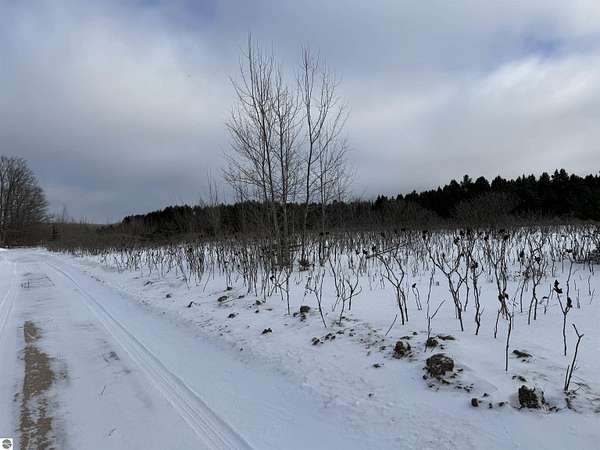 6.3 Acres of Mixed-Use Land for Sale in Lake City, Michigan