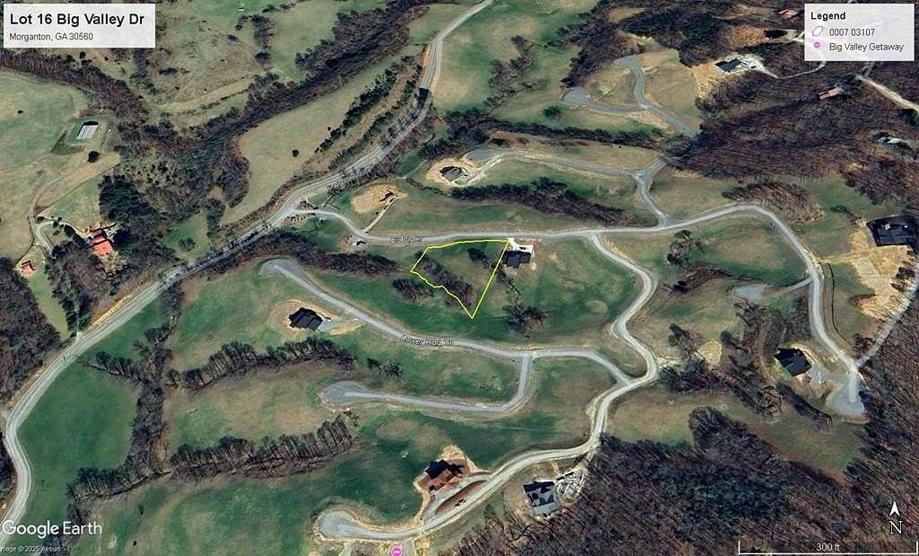 1.1 Acres of Residential Land for Sale in Morganton, Georgia