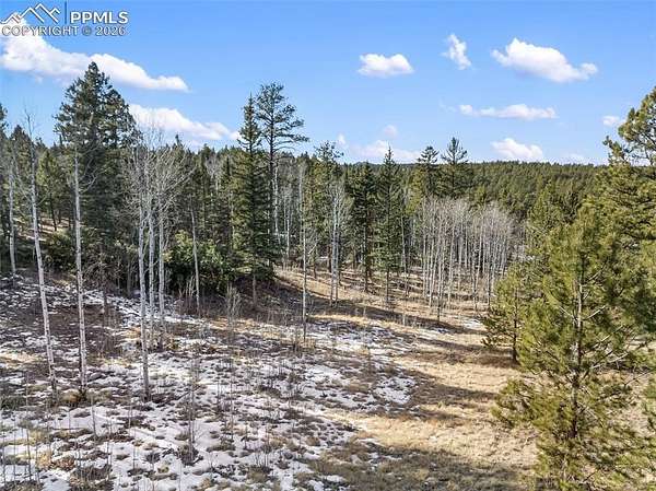 1.25 Acres of Residential Land for Sale in Lake George, Colorado
