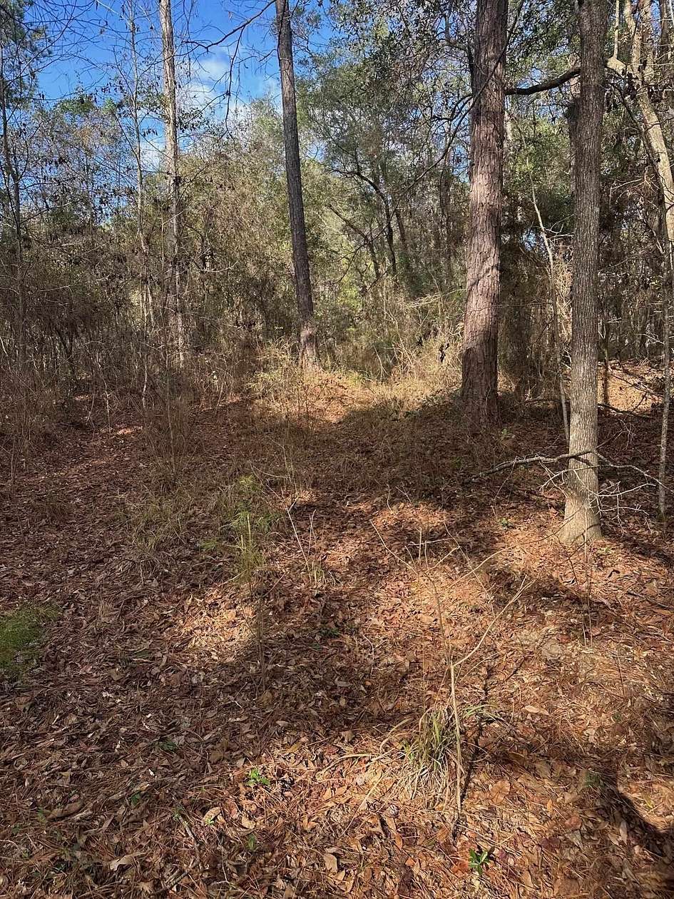 17.5 Acres of Recreational Land for Sale in Tallahassee, Florida