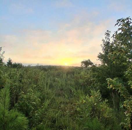 3 Acres of Land for Sale in Troy, South Carolina