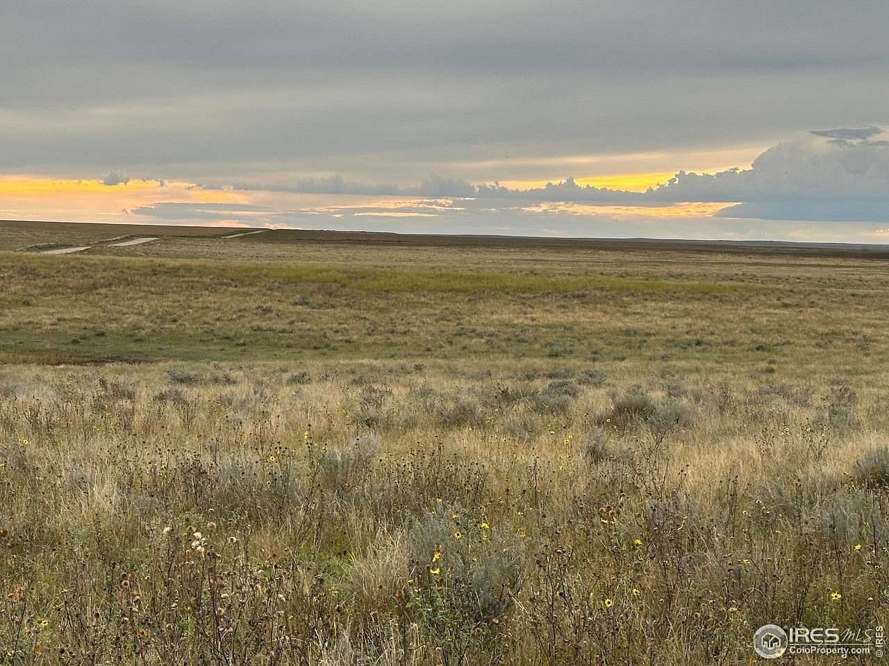 289 Acres of Agricultural Land with Home for Sale in Kit Carson, Colorado