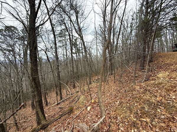 1 Acre of Land for Sale in Cosby, Tennessee