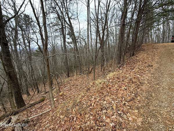 1 Acre of Land for Sale in Cosby, Tennessee