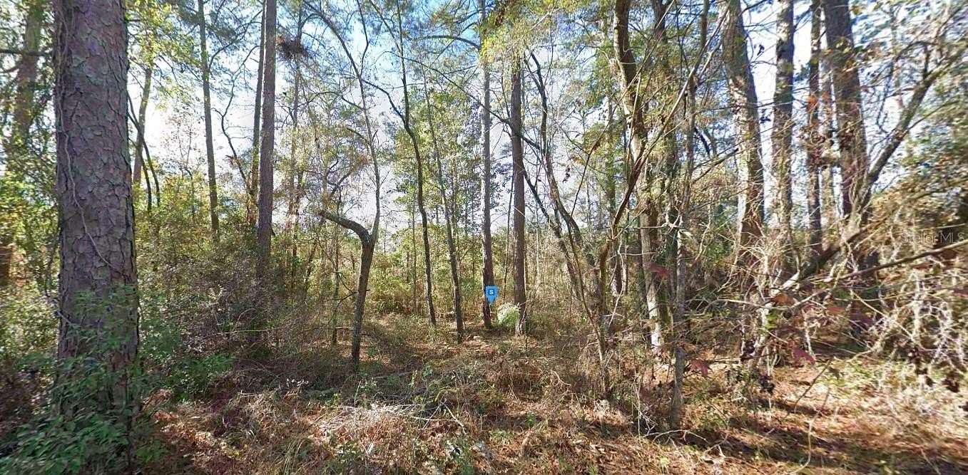 1 Acre of Residential Land for Sale in Tallahassee, Florida