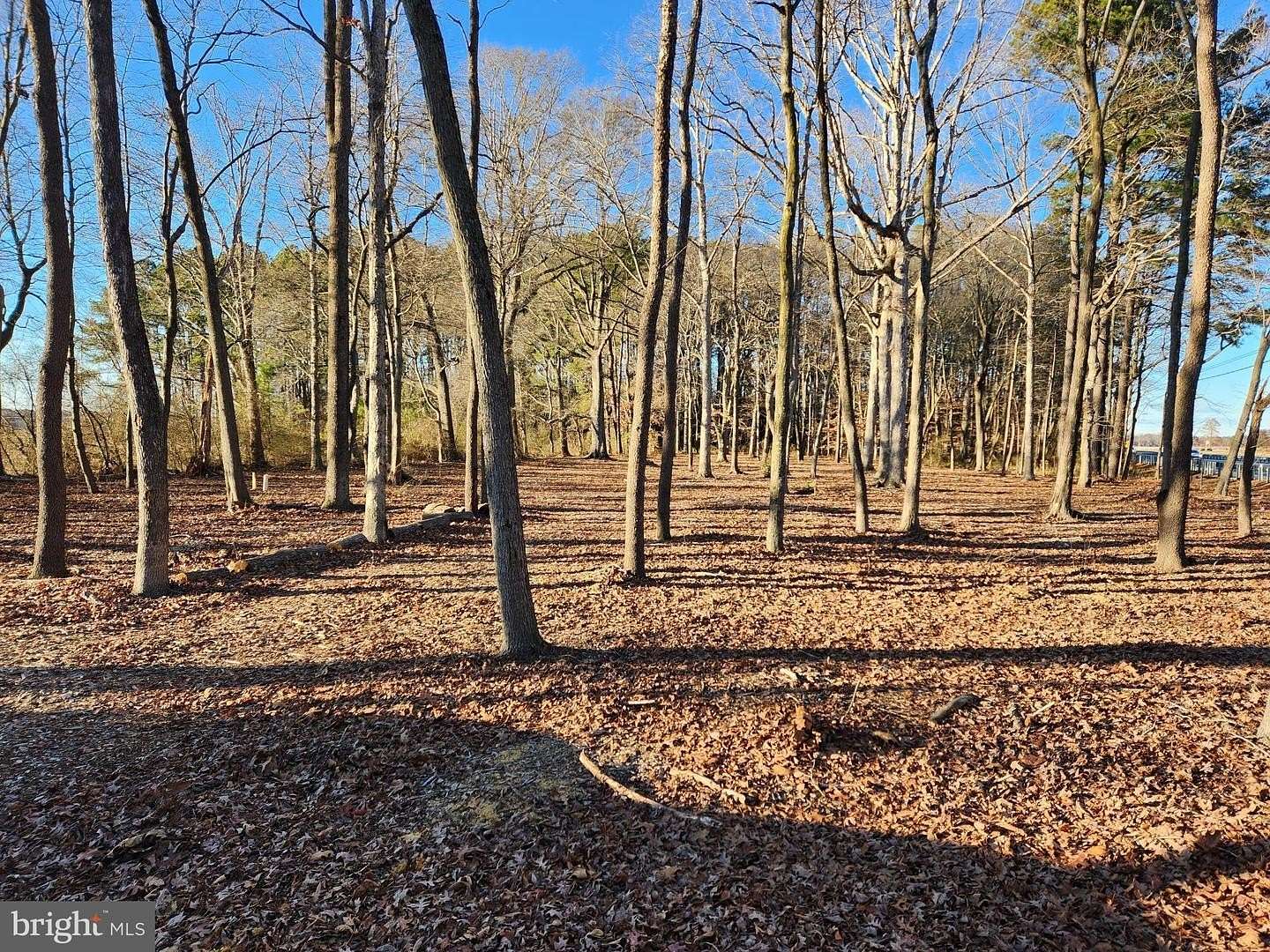1.28 Acres of Residential Land for Sale in Trappe, Maryland