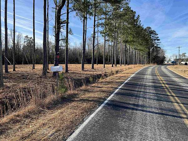 10.6 Acres of Land for Sale in Mullins, South Carolina