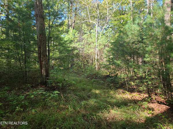 48 Acres of Recreational Land for Sale in Deer Lodge, Tennessee