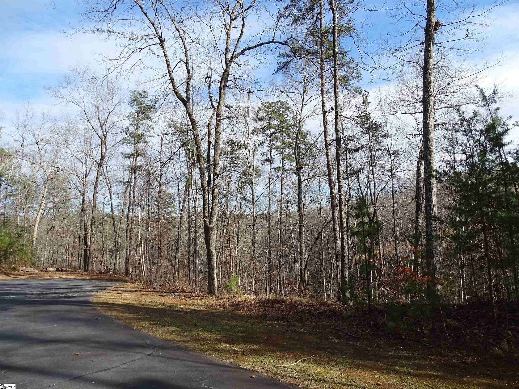 1 Acre of Residential Land for Sale in Pickens, South Carolina