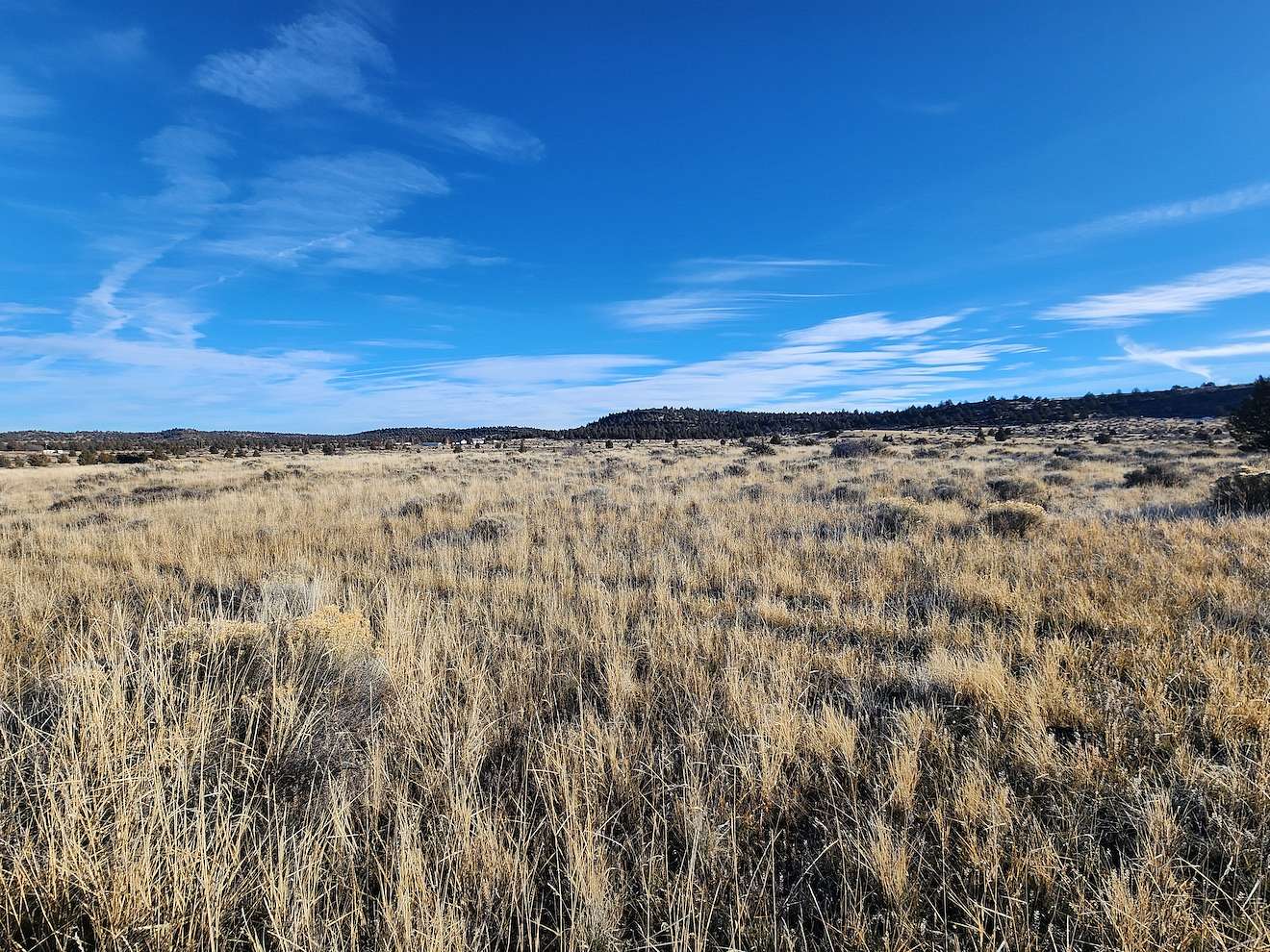 0.94 Acres of Residential Land for Sale in Alturas, California