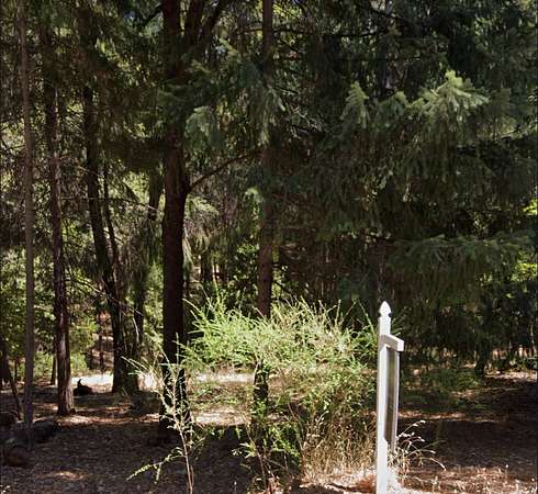 0.24 Acres of Residential Land for Sale in Magalia, California