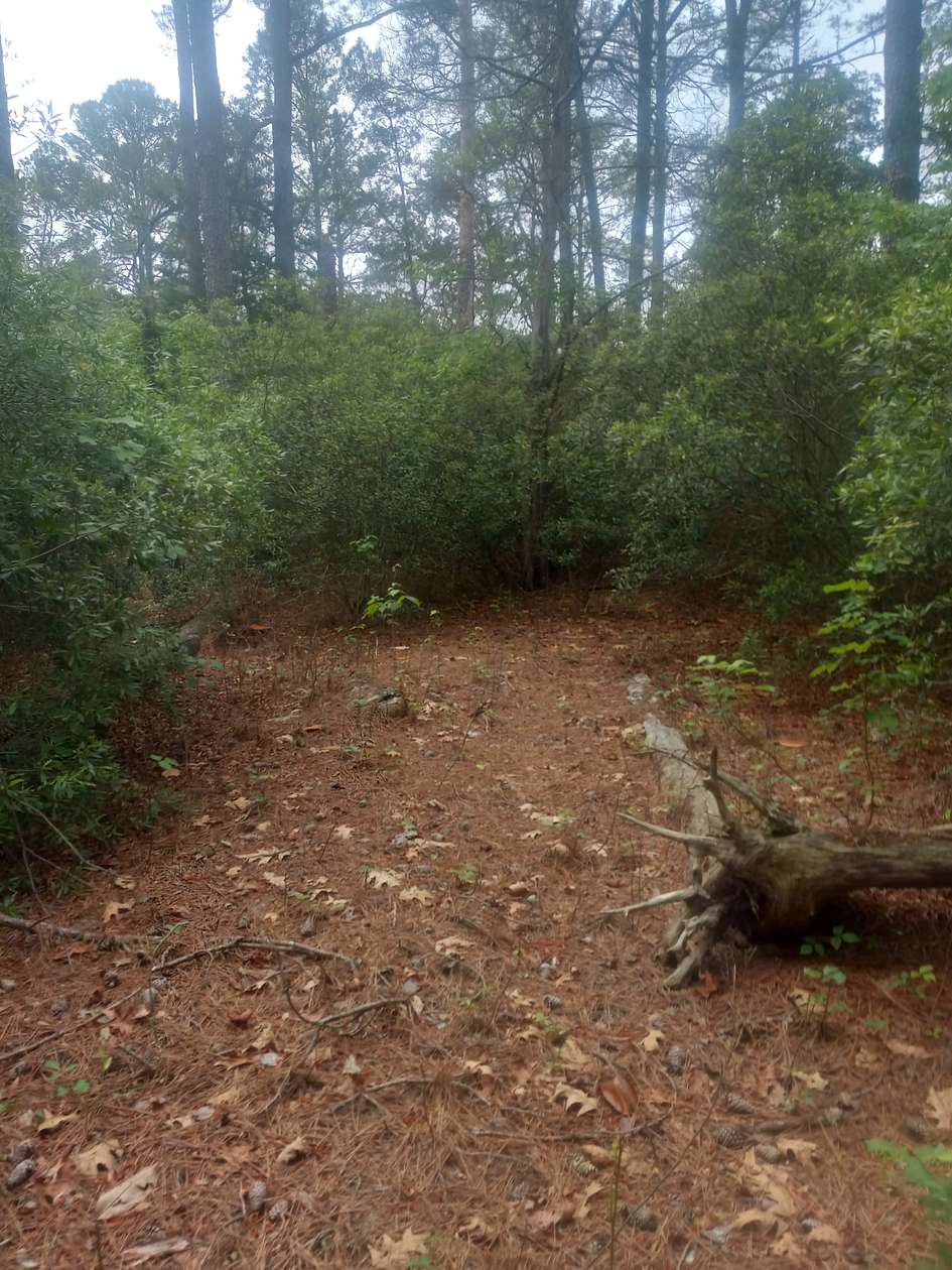 2.33 Acres of Residential Land for Sale in Onemo, Virginia