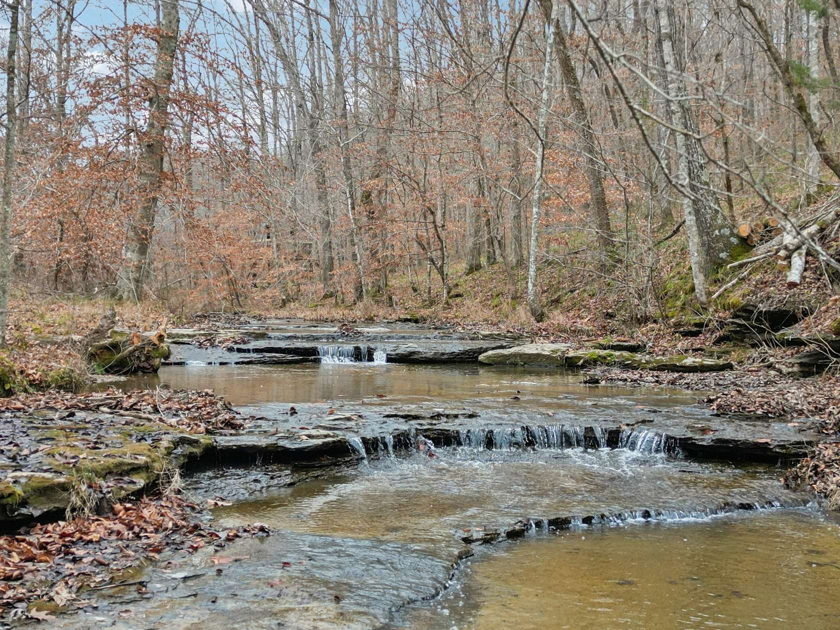 28 Acres of Land with Home for Sale in Pegram, Tennessee