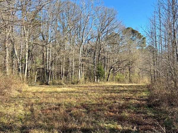 98.4 Acres of Recreational Land for Sale in Carthage, Mississippi