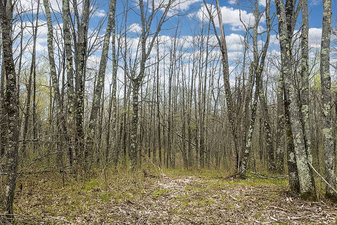 2 Acres of Residential Land for Sale in Trego, Wisconsin