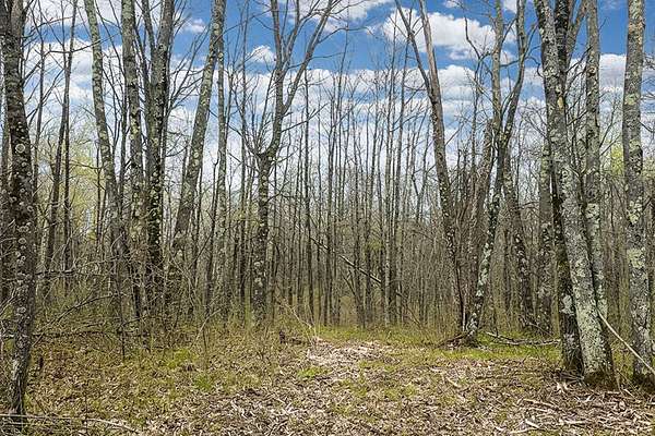 2 Acres of Residential Land for Sale in Trego, Wisconsin
