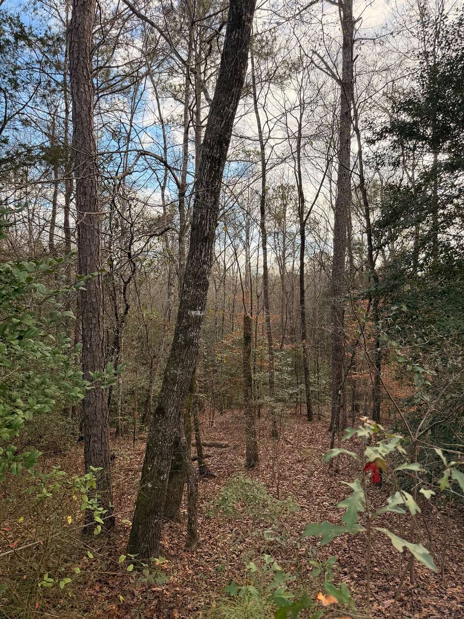 4.43 Acres of Residential Land for Sale in Dixons Mills, Alabama