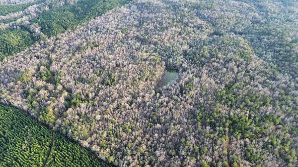 16 Acres of Recreational Land for Sale in Dixons Mills, Alabama