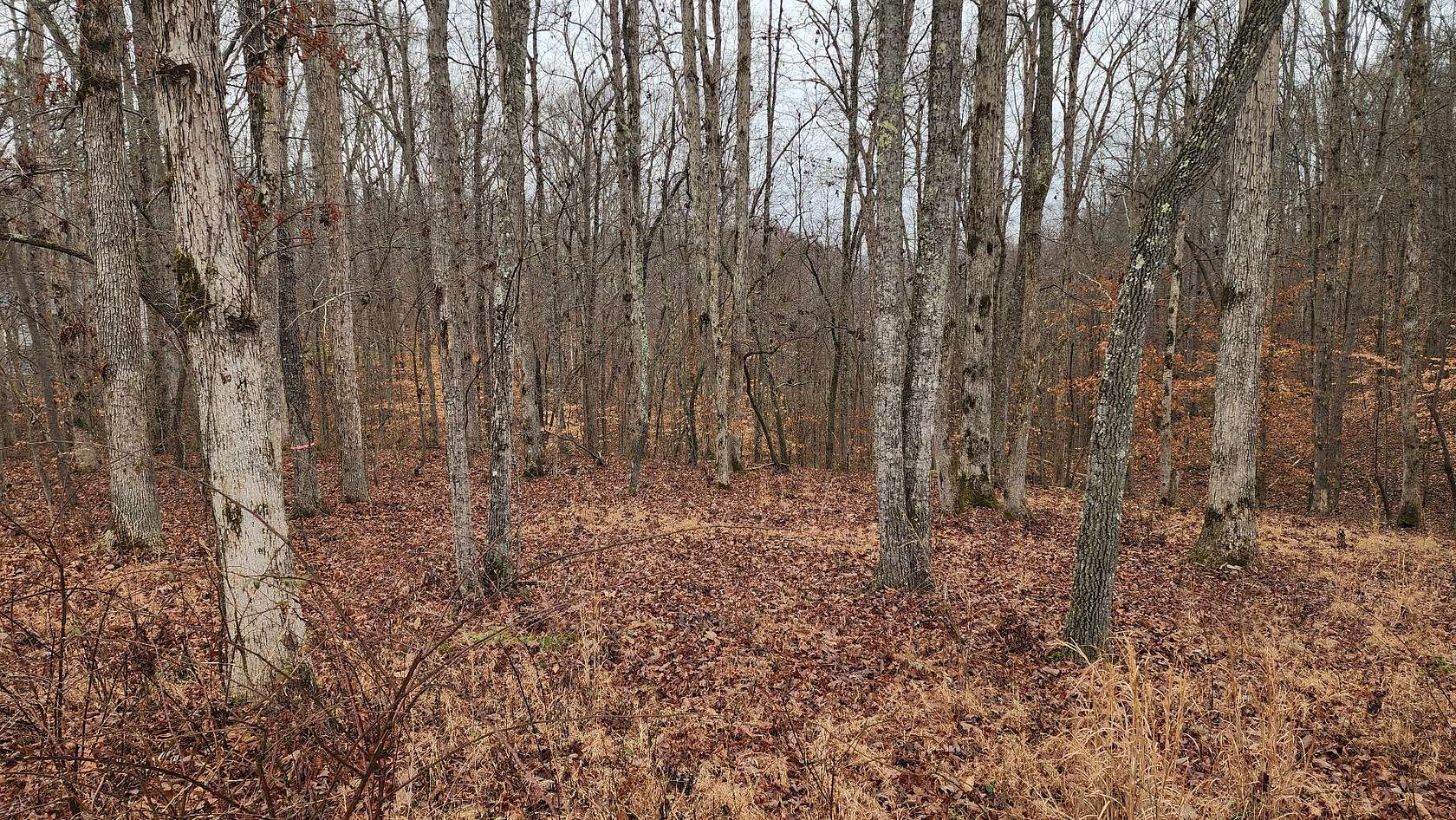 0.4 Acres of Residential Land for Sale in Baxter, Tennessee