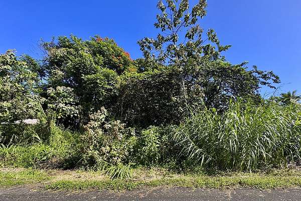 0.34 Acres of Residential Land for Sale in Pahoa, Hawaii