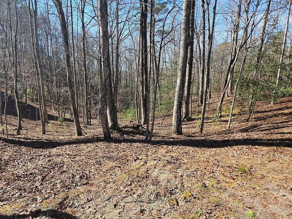 0.68 Acres of Residential Land for Sale in Ellijay, Georgia