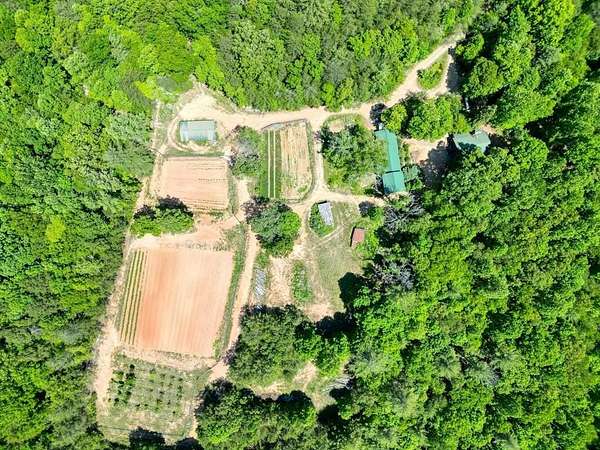19.8 Acres of Land with Home for Sale in Blairsville, Georgia