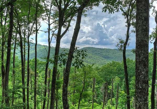 1.79 Acres of Land with Home for Sale in Cherry Log, Georgia