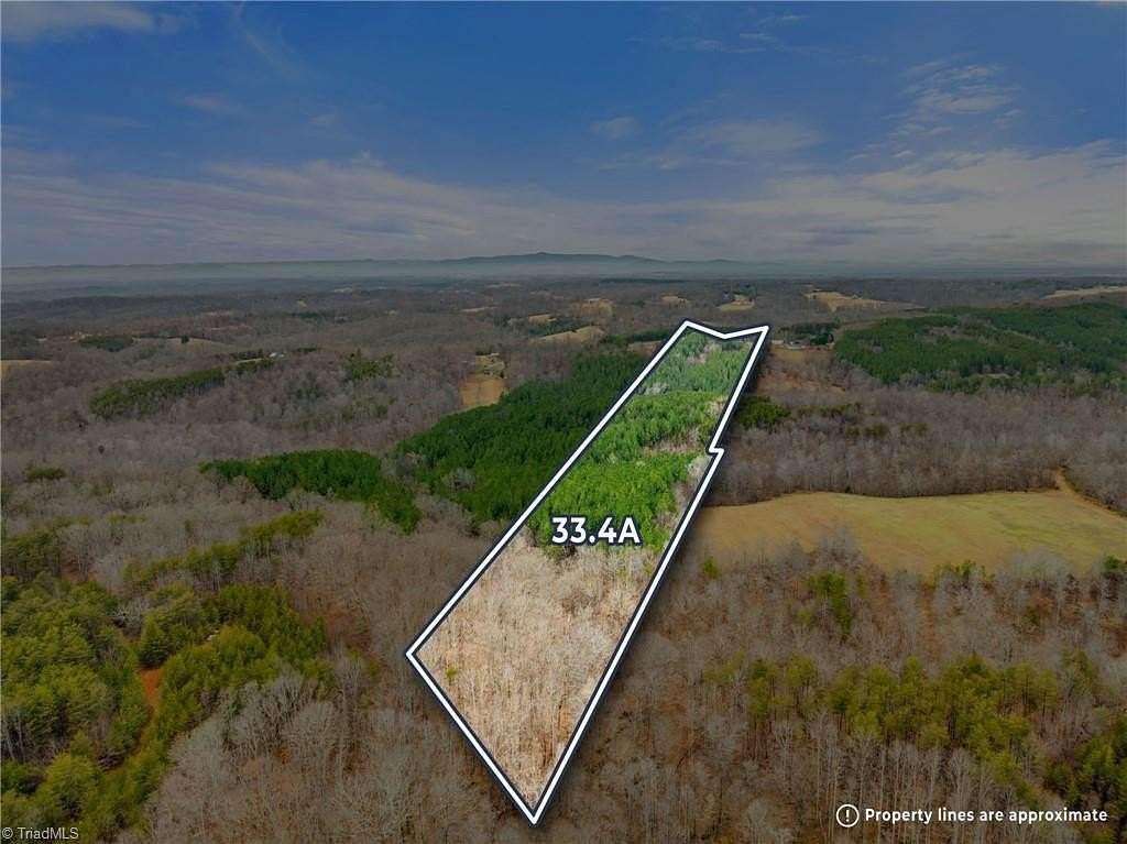 33.4 Acres of Recreational Land for Sale in Sandy Ridge, North Carolina