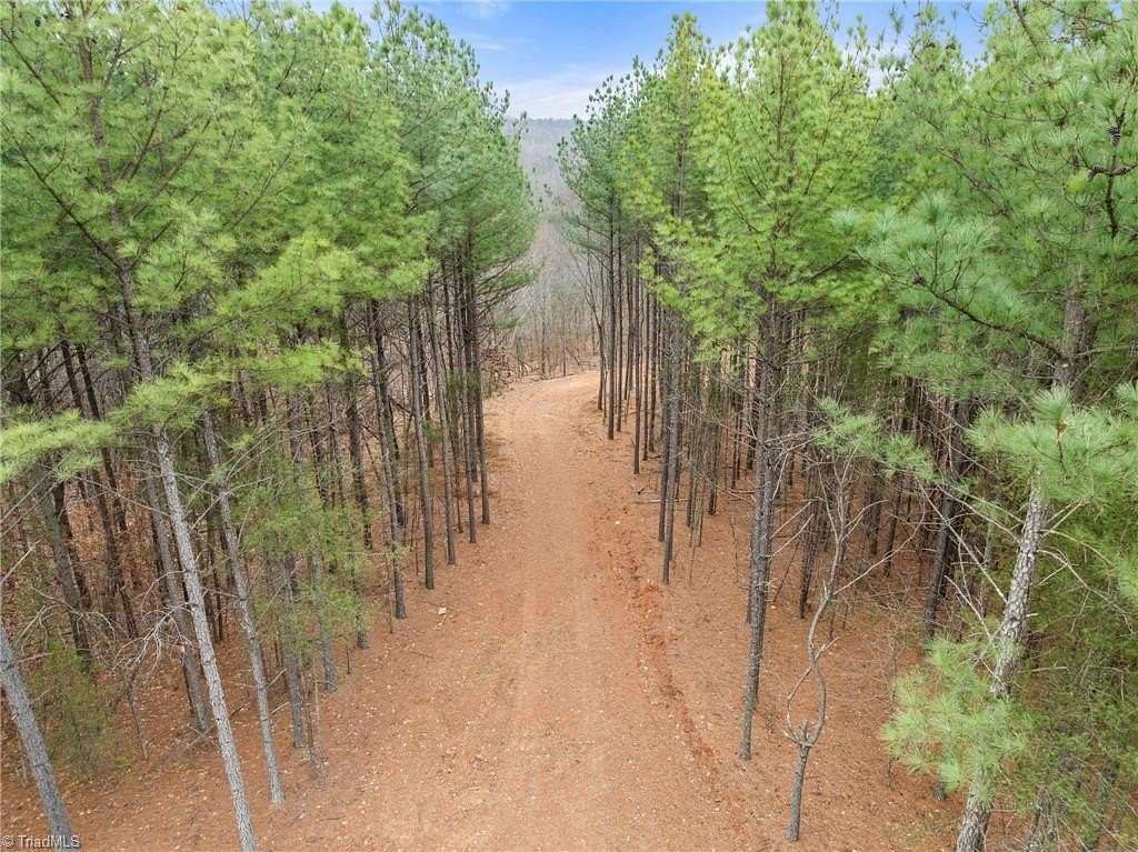 33.4 Acres of Recreational & Residential Land for Sale in Sandy Ridge, North Carolina