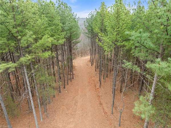 33.4 Acres of Recreational & Residential Land for Sale in Sandy Ridge, North Carolina