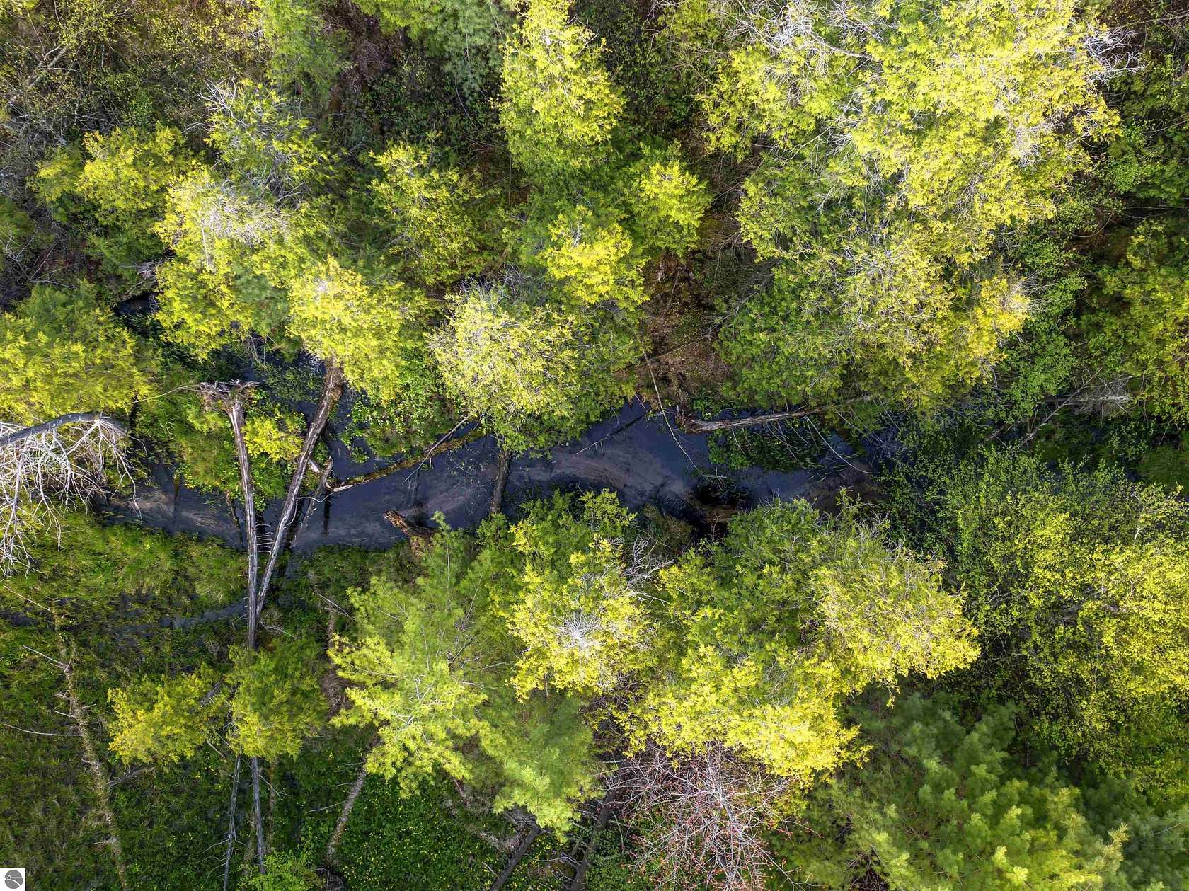 15.1 Acres of Land for Sale in Interlochen, Michigan