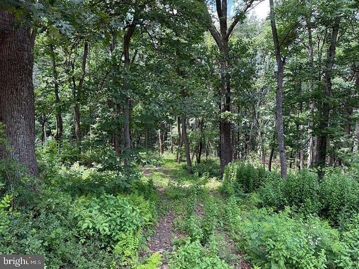 2 Acres of Land for Sale in Augusta, West Virginia