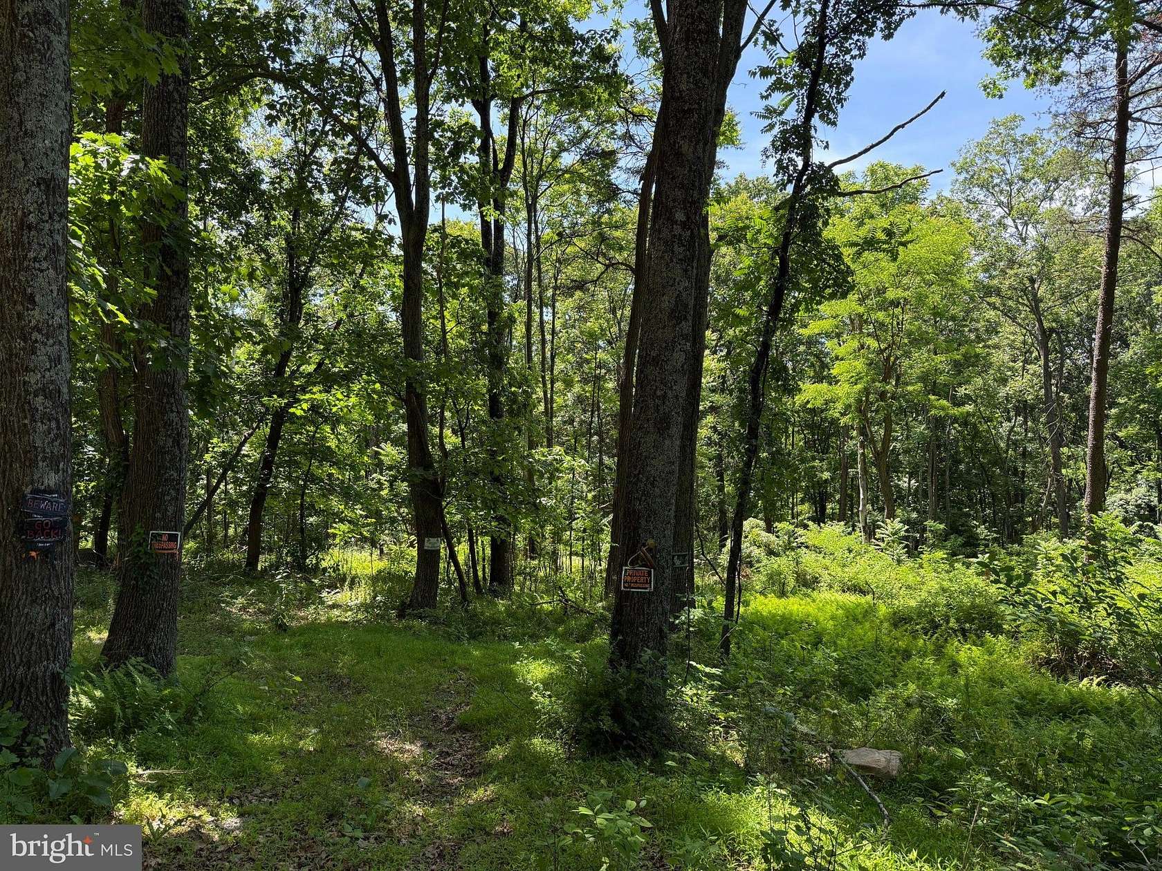 2 Acres of Land for Sale in Augusta, West Virginia
