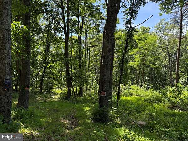 2 Acres of Land for Sale in Augusta, West Virginia