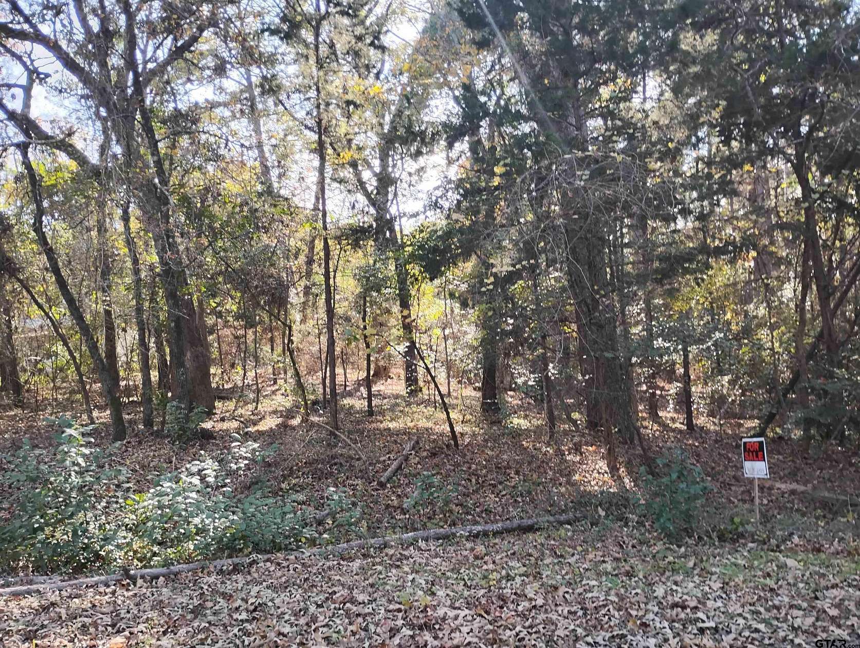 0.15 Acres of Residential Land for Sale in Bullard, Texas