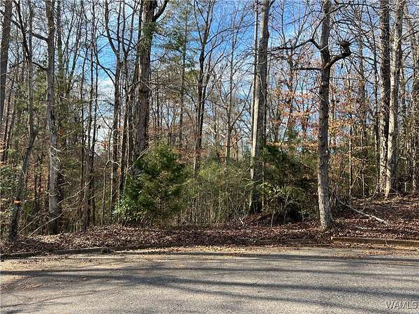 0.5 Acres of Residential Land for Sale in Tuscaloosa, Alabama