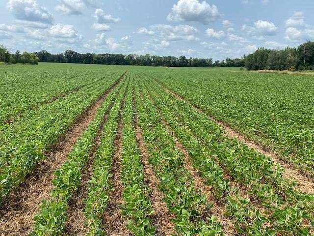 15.7 Acres of Agricultural Land for Sale in Foreston, Minnesota