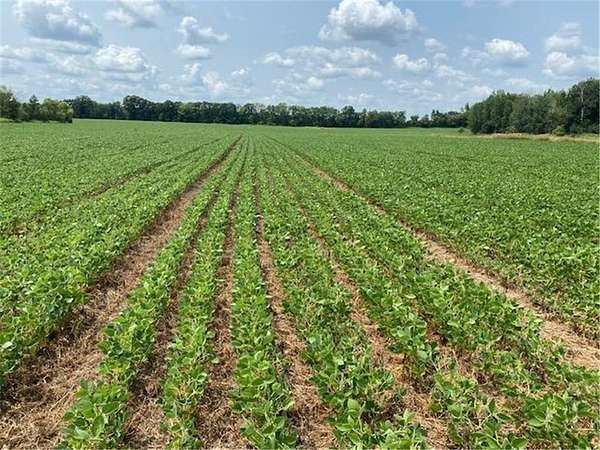 15.7 Acres of Land for Sale in Foreston, Minnesota
