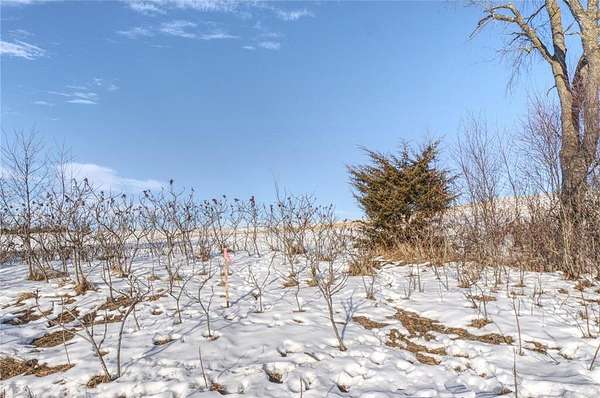 55 Acres of Agricultural Land for Sale in Mondovi, Wisconsin