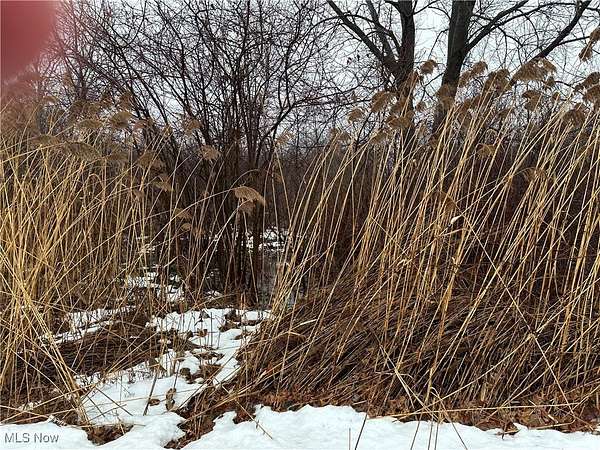 0.82 Acres of Land for Sale in Madison, Ohio