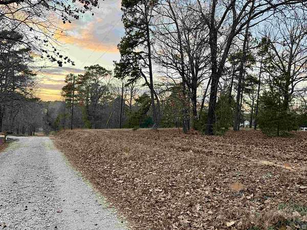 0.43 Acres of Land for Sale in Big Sandy, Texas