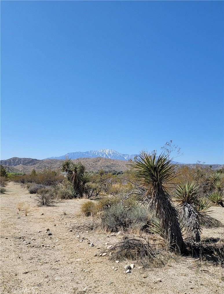 1.25 Acres of Residential Land for Sale in Morongo Valley, California