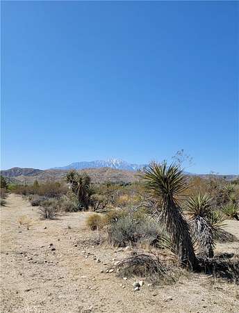 1.25 Acres of Residential Land for Sale in Morongo Valley, California