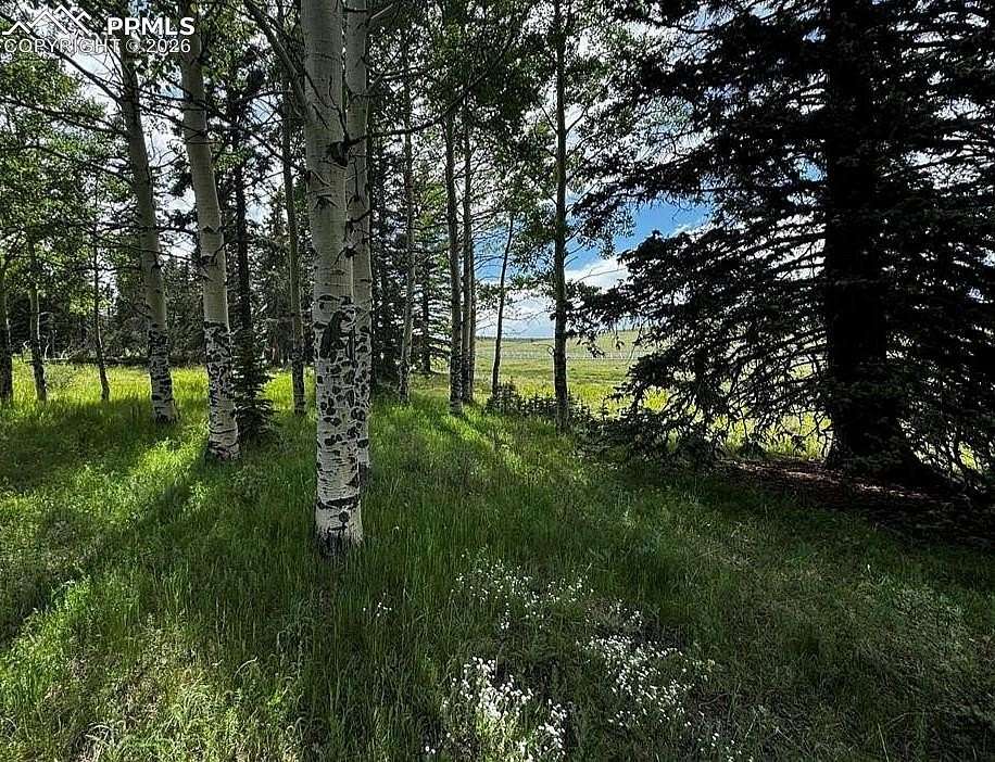 2 Acres of Residential Land for Sale in Divide, Colorado