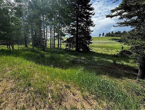 2 Acres of Residential Land for Sale in Divide, Colorado