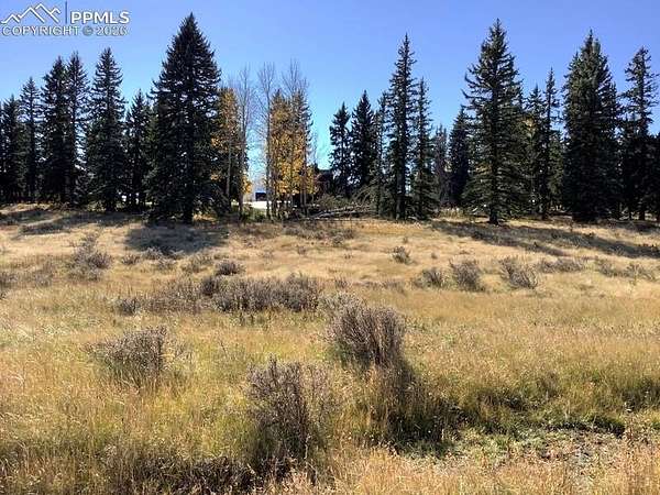 2 Acres of Residential Land for Sale in Divide, Colorado