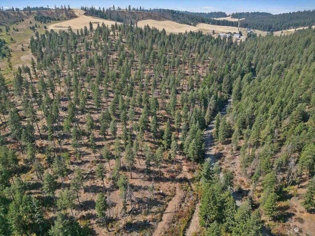 20 Acres of Recreational & Residential Land for Sale in Spokane, Washington