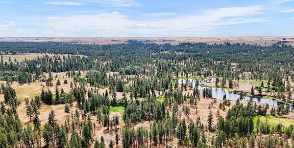 24.2 Acres of Land for Sale in Medical Lake, Washington