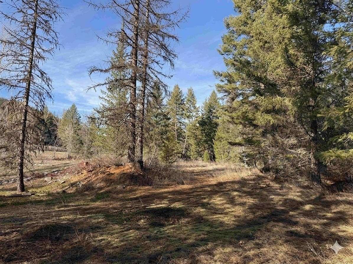 10 Acres of Residential Land for Sale in Colville, Washington